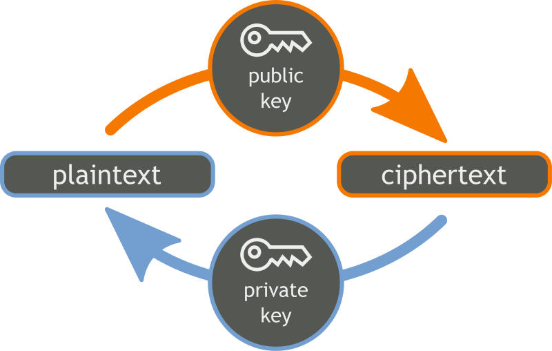 Difference Between Public Key and Private Key in Cryptography