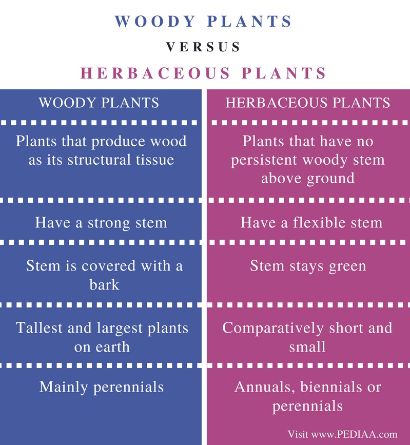 Difference Between Woody and Herbaceous Plants - Comparison Summary