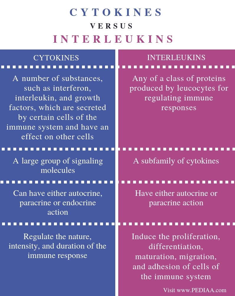 Difference Between Cytokines and Interleukins - Comparison Summary