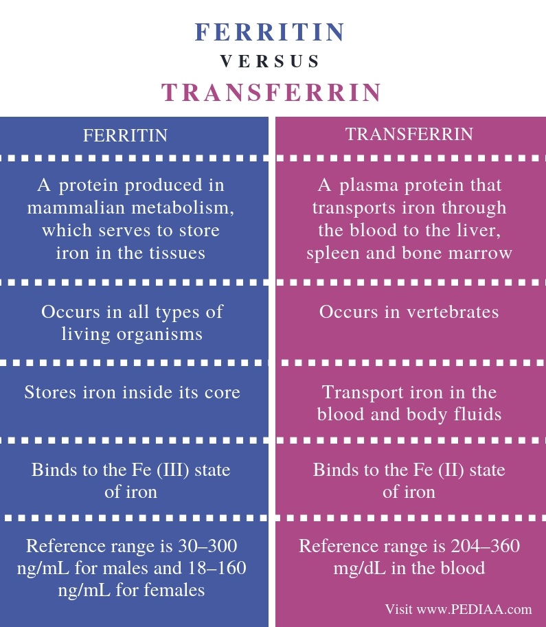 what-is-the-difference-between-ferritin-and-transferrin-pediaa-com