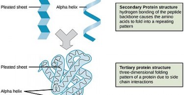 Pediaa.Com - Page 270 of 667 - Know about Anything