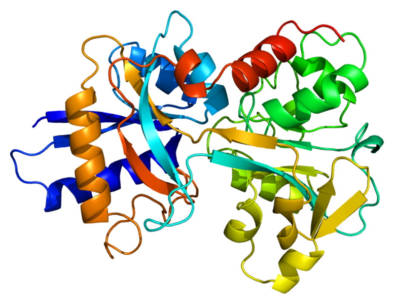 what-is-the-difference-between-ferritin-and-transferrin-pediaa-com