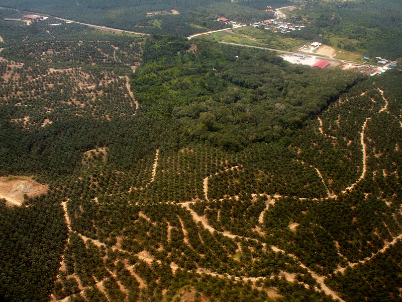 What is the Difference Between Habitat Change and Habitat Fragmentation ...