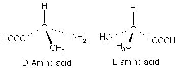 What-is-the-Difference-Between-L-and-D-Amino-Acids Figure2