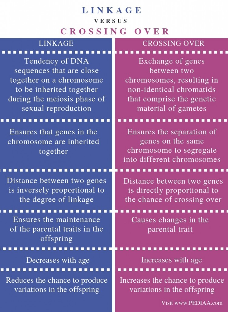 What Is The Difference Between Linkage And Crossing Over Pediaa Com