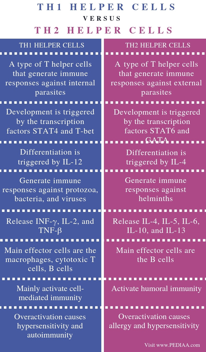 What is the Difference Between TH1 and TH2 Helper Cells - Pediaa.Com