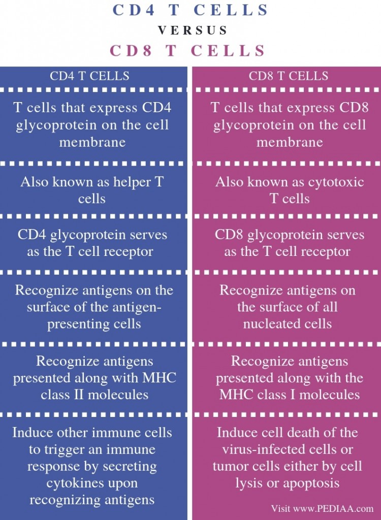 cd4 vs cd8 memory t cells