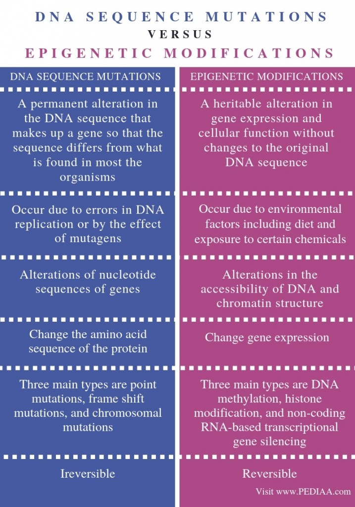 What is the Difference Between DNA Sequence Mutations and Epigenetic