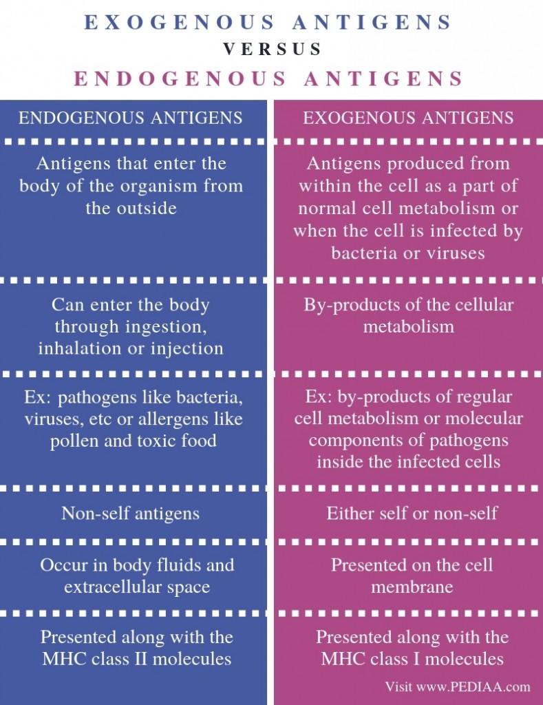 What is the Difference Between Exogenous and Endogenous Antigens