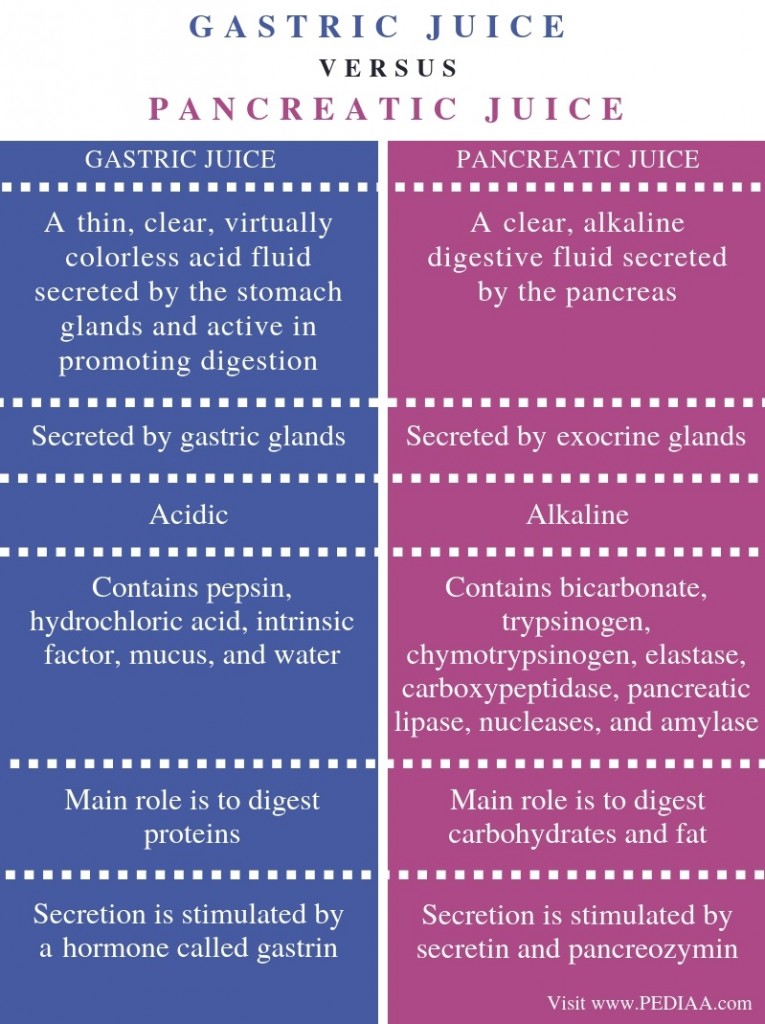 what is the purposes of a pancreatic juice