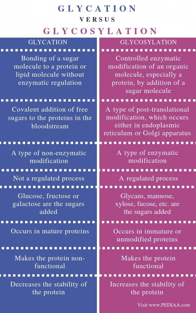 What is the Difference Between Glycation and Glycosylation