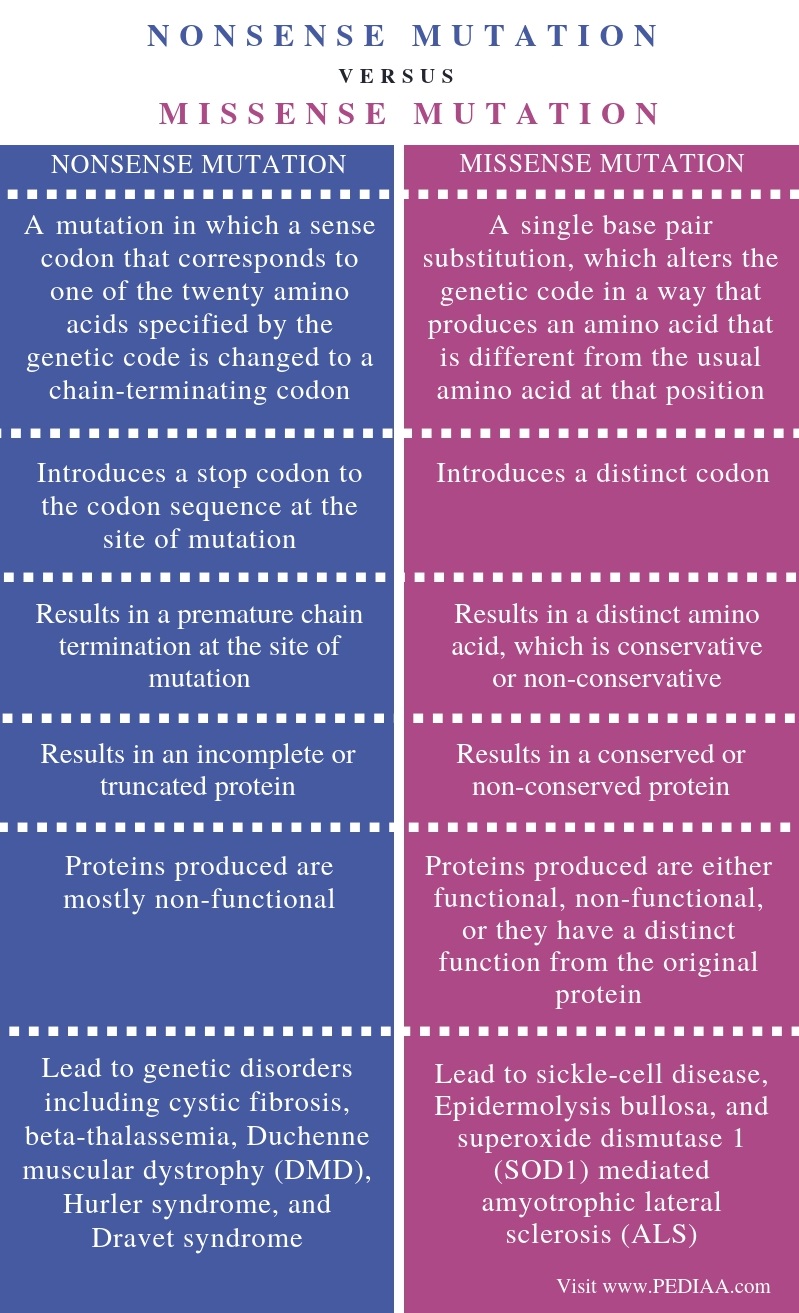 missense-vs-nonsense-mutation-the-key-differences-to-know-diffesaurus