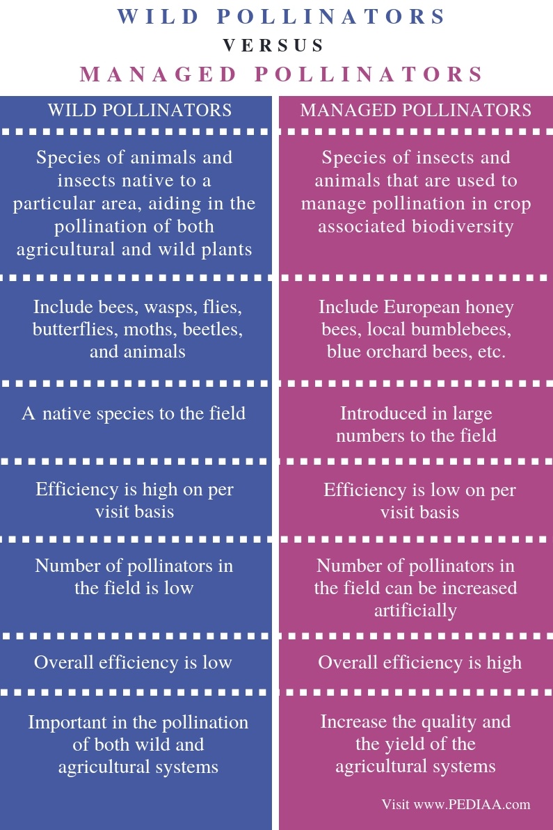 Difference Between Wild and Managed Pollinators - Comparison Summary
