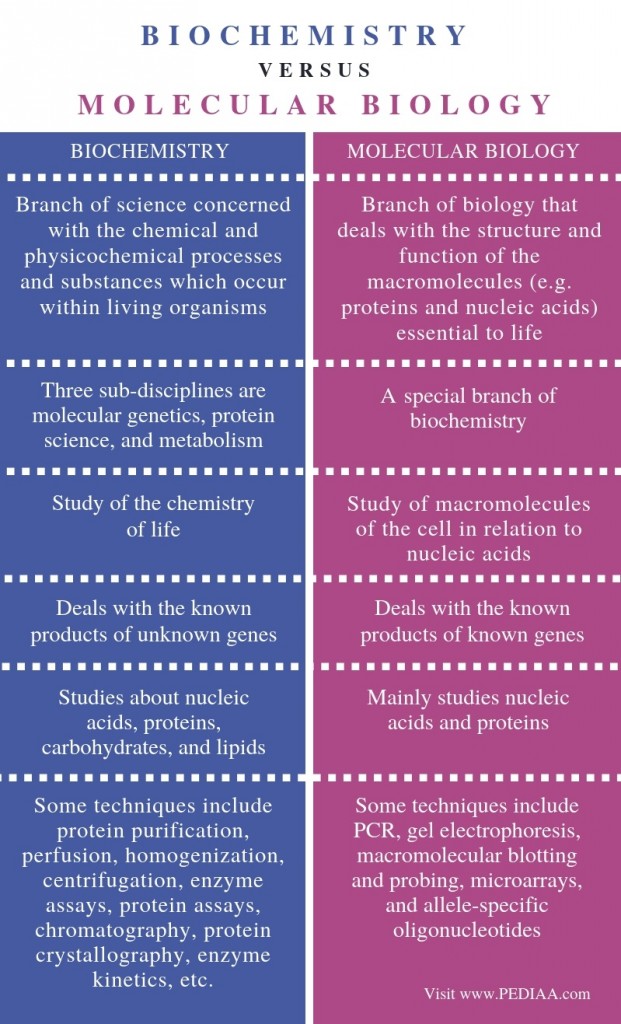 What is the Difference Between Biochemistry and Molecular Biology