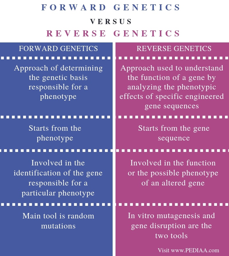 What Is The Difference Between Forward And Reverse Genetics Pediaa