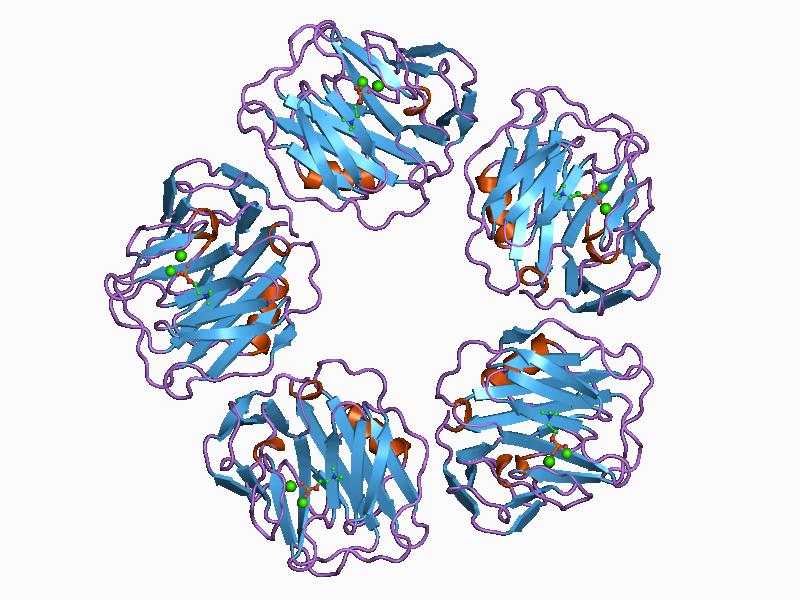 What is the Difference Between CRP and Homocysteine