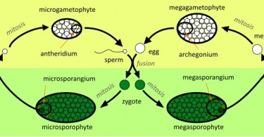 Page 175 of 605 Know about Anything