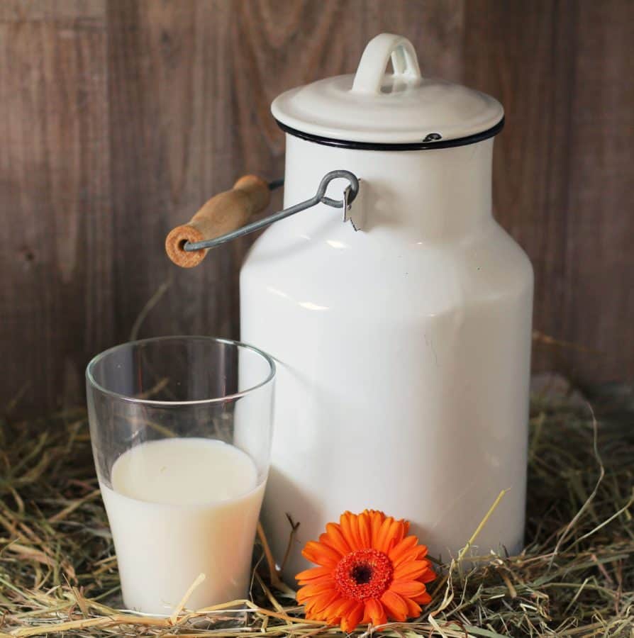 Difference Between Organic Milk and Hormone Free Milk