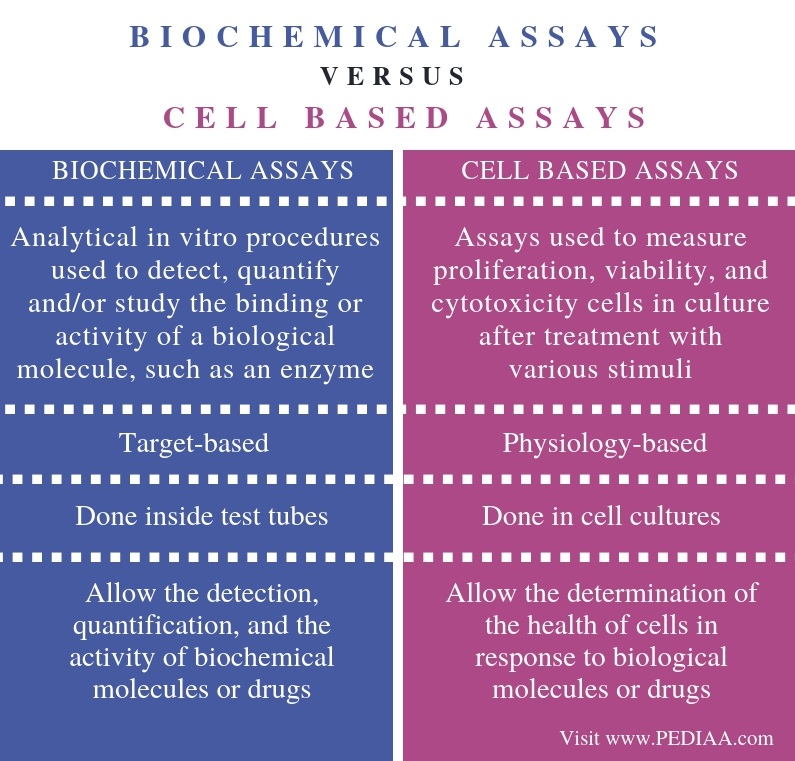 meaning of biochemical essay