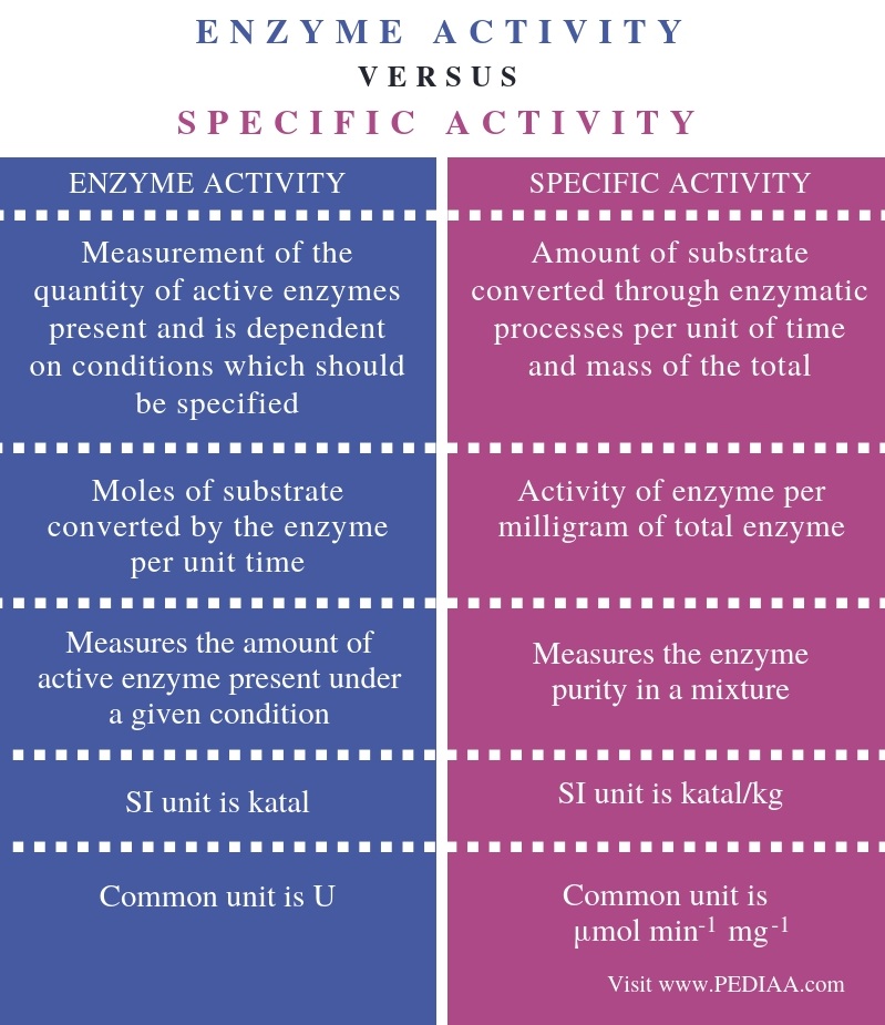 what-is-the-difference-between-enzyme-activity-and-specific-activity