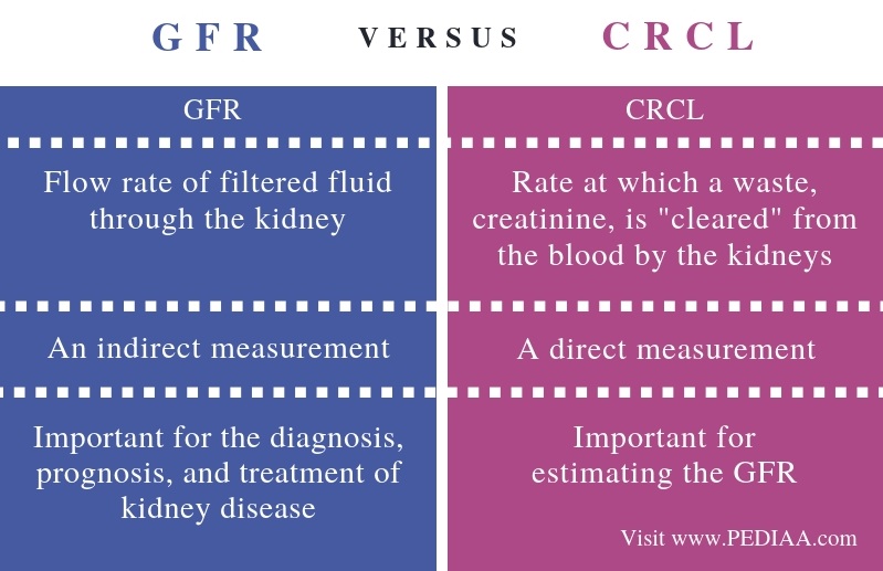 What Is The Difference Between GFR And CrCl Pediaa Com   Difference Between GFR And CRCL Comparison Summary1 