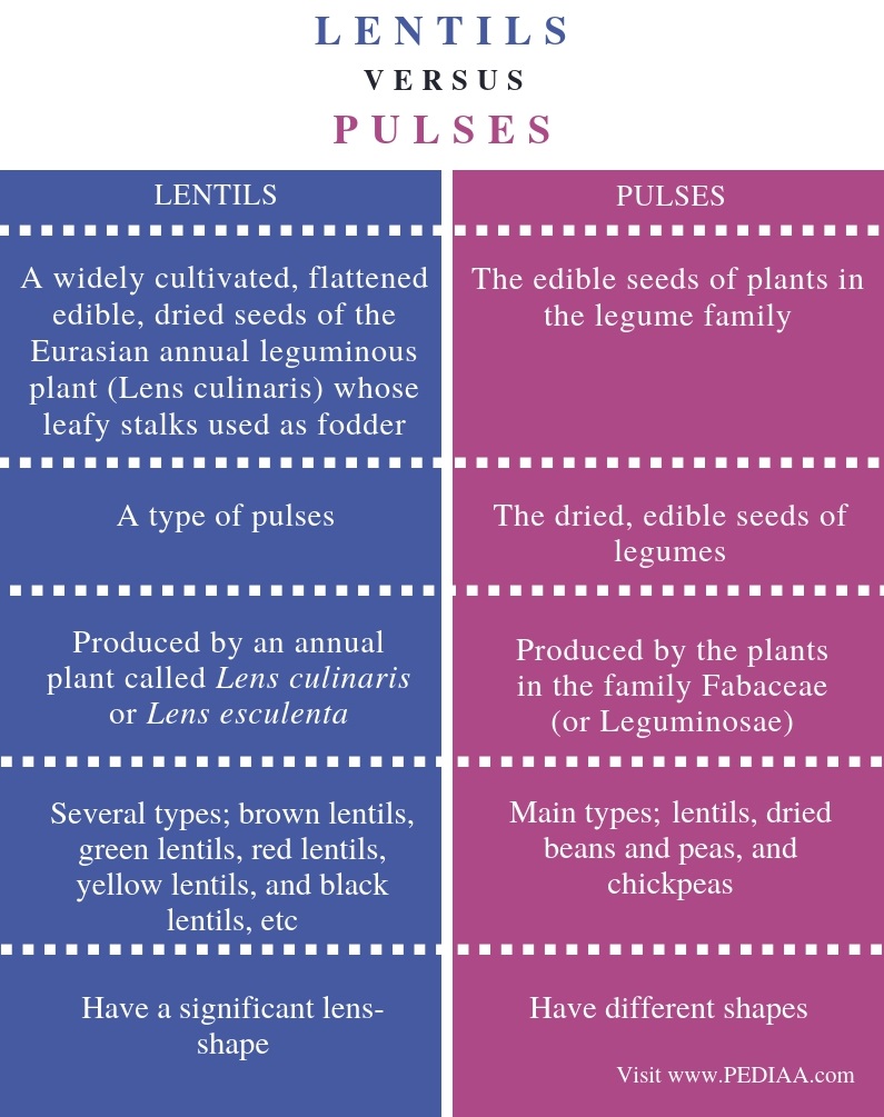 Difference-Between-Lentils-and-Pulses-Comparison-Summary