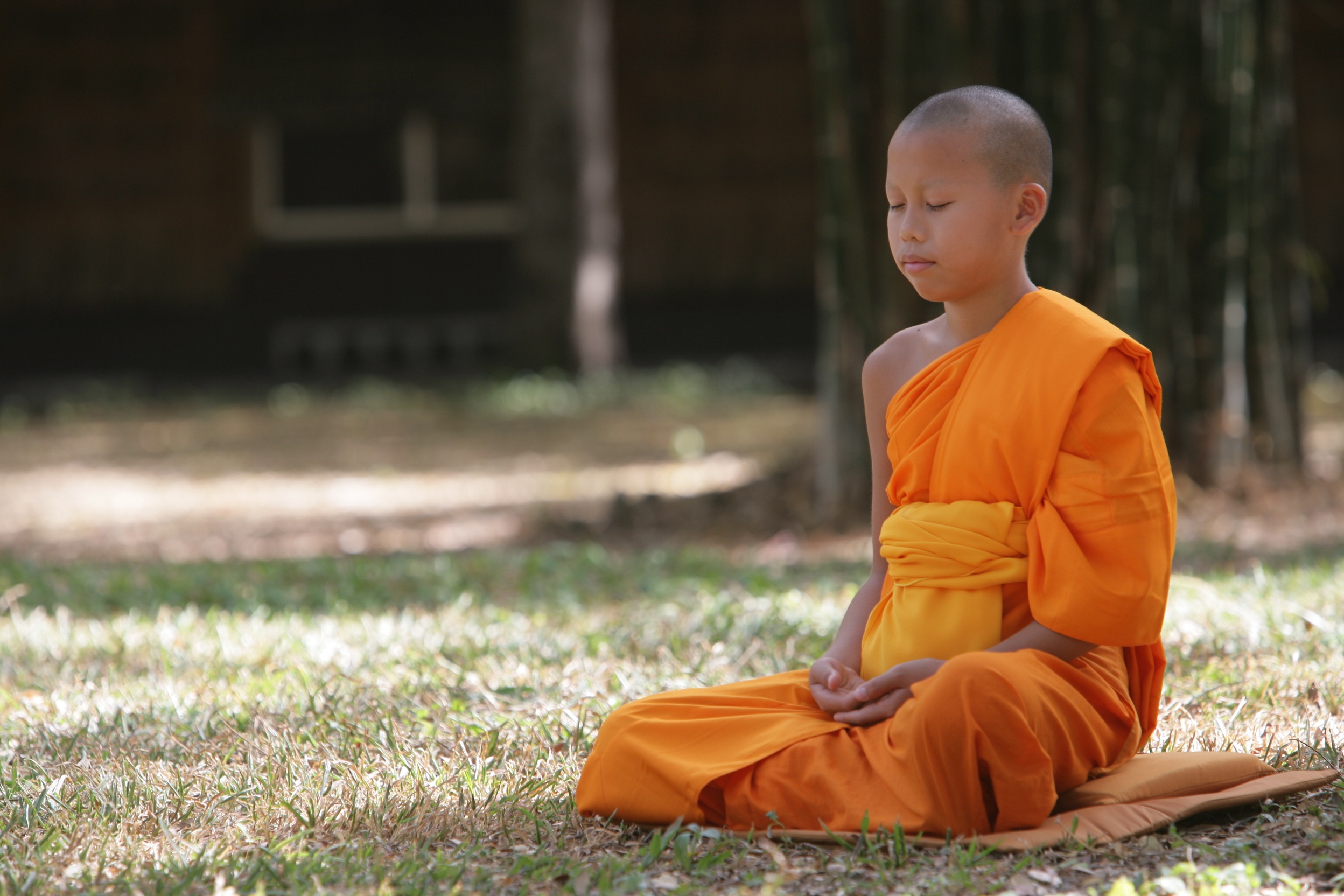 Difference Between Meditation and Transcendental Meditation