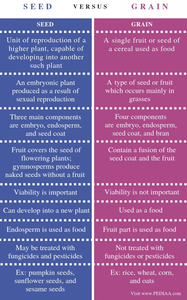 What is the Difference Between Seed and Grain