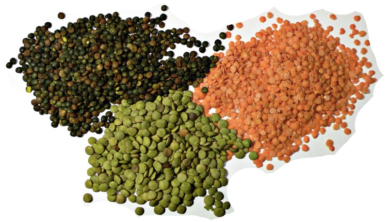 What Is The Difference Between Lentils And Pulses - Pediaa.Com