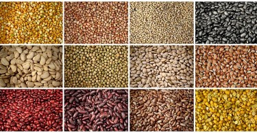 Difference Between Lentils and Pulses