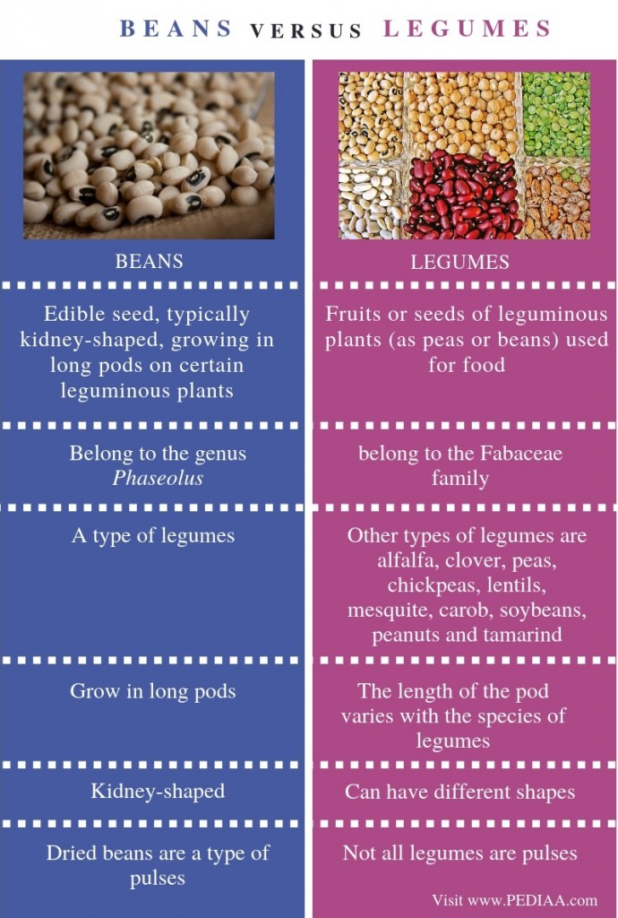 What Is The Difference Between Beans And Legumes Pediaacom