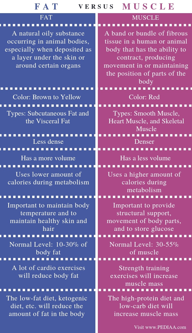 Difference Between Fat and Muscle - Comparison Summary