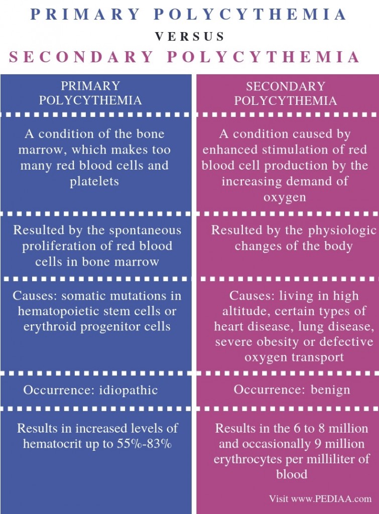 What is the Difference Between Primary and Secondary Polycythemia