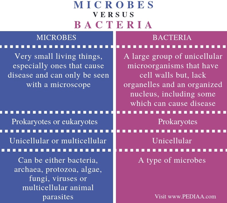 Difference Between Microbes and Bacteria - Comparison Summary