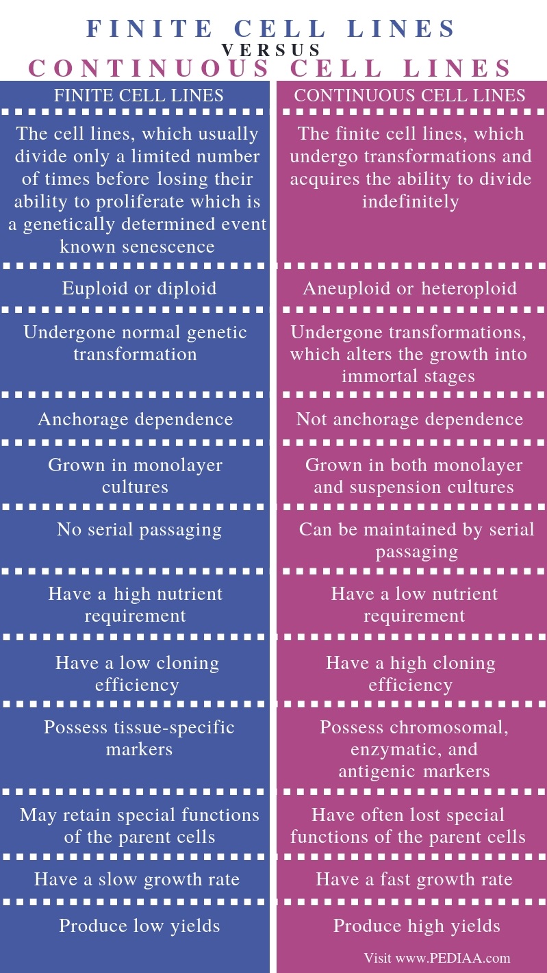 Difference Between Finite and Continuous Cell Lines - Comparison Summary