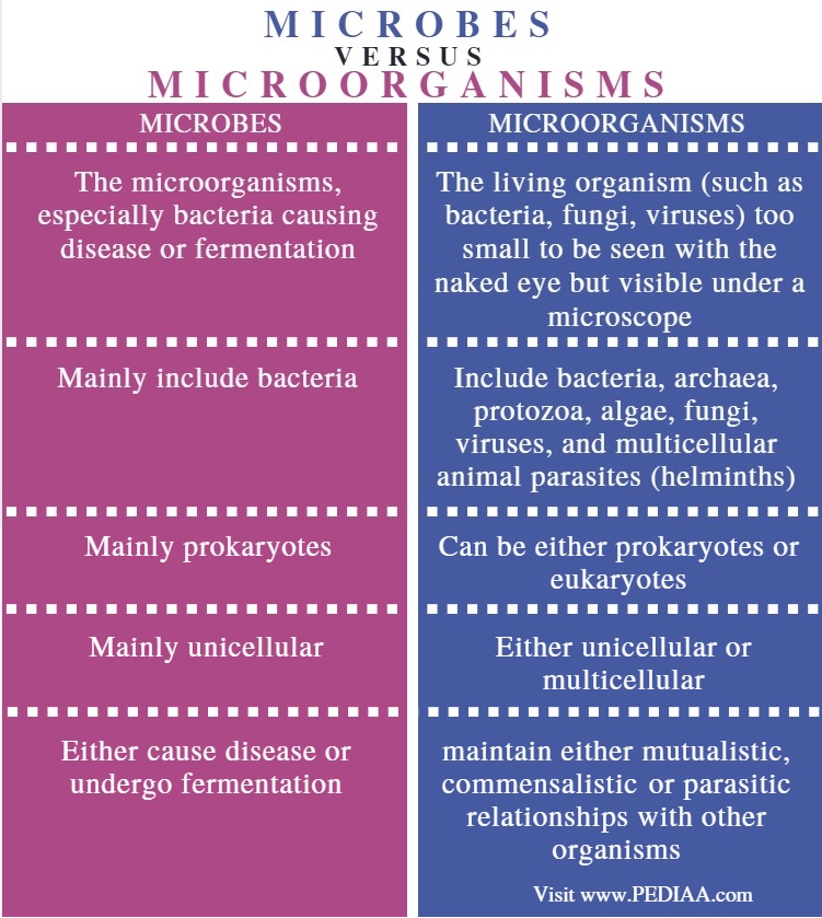 Difference Between Microbes and Microorganisms - Comparison Summary