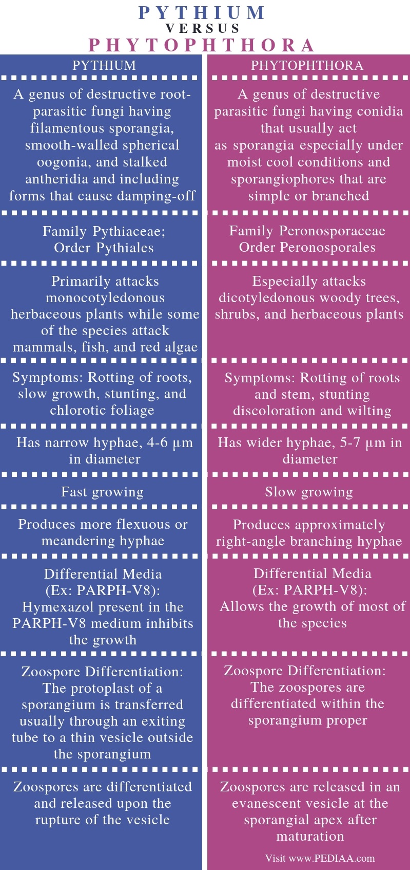 What is the Difference Between Pythium and Phytophthora - Pediaa.Com