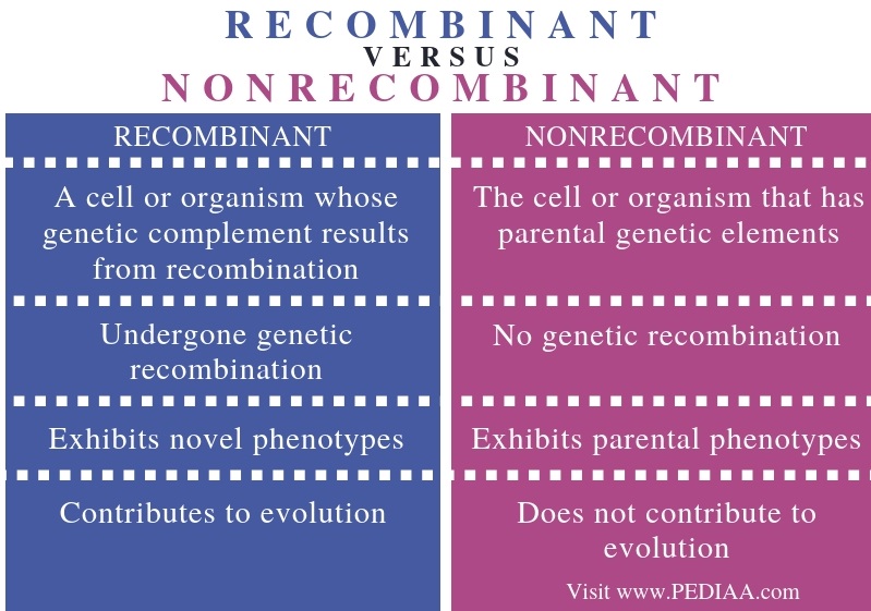 What is the Difference Between Recombinant and Nonrecombinant - Pediaa.Com