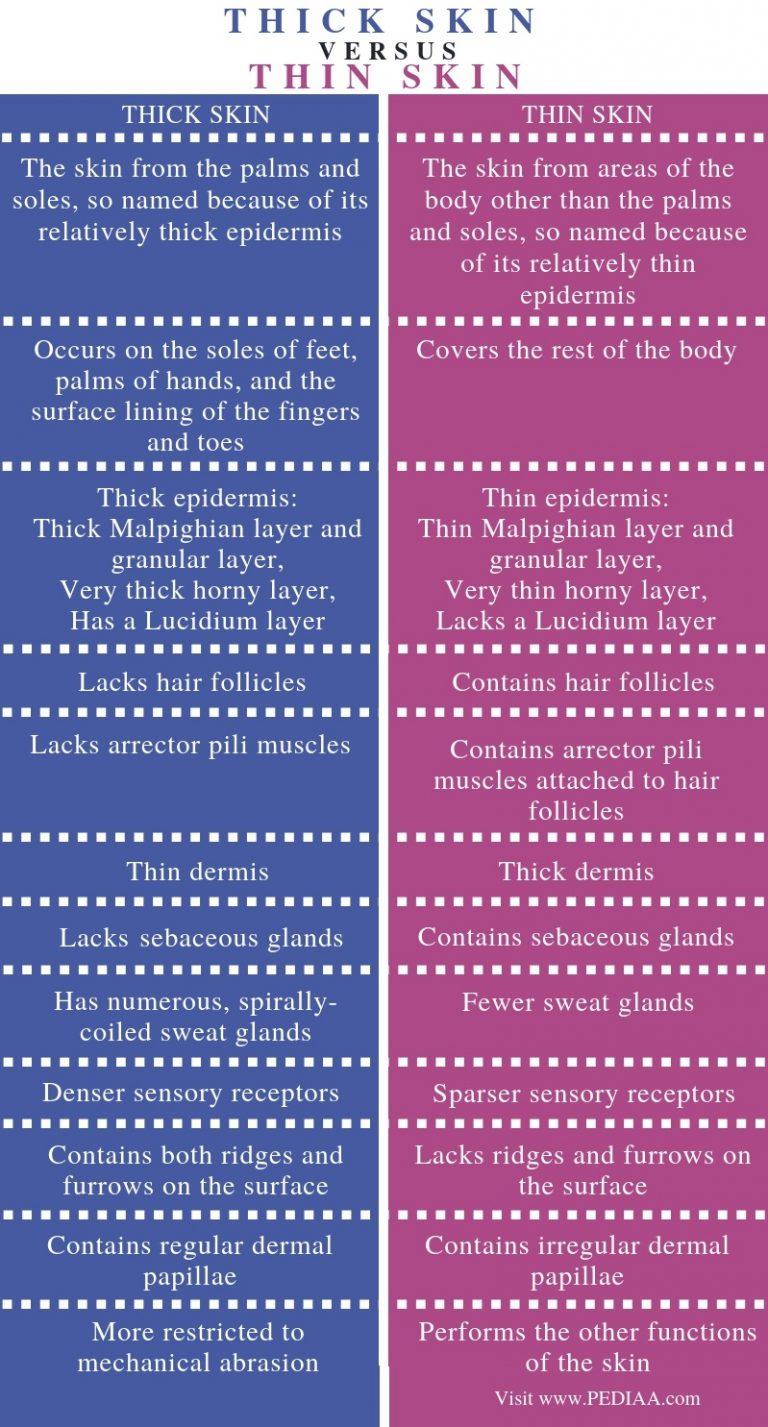 thin-skin-versus-thick-skin-histology-skin-anatomy-tissue-biology