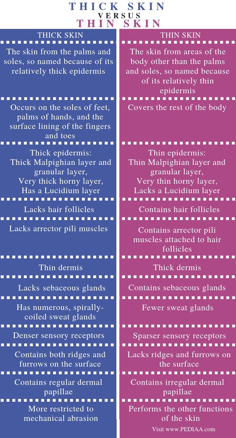 Skin Thickness Chart