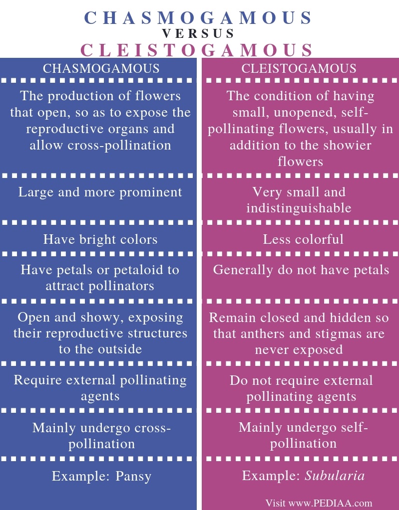 What is the Difference Between Chasmogamous and Cleistogamous