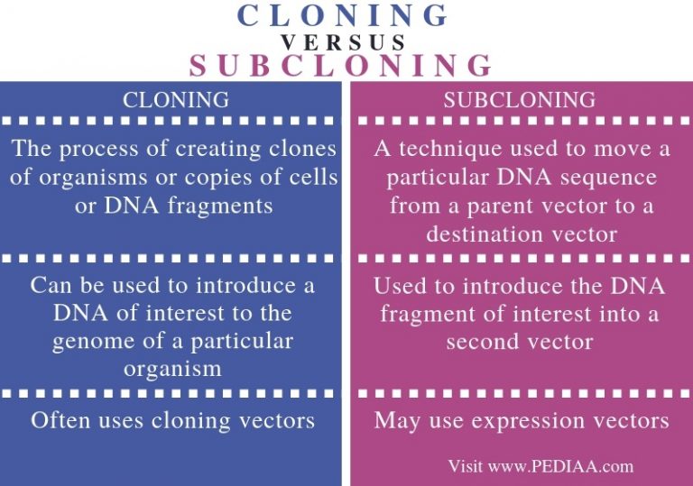 What is the Difference Between Cloning and Subcloning