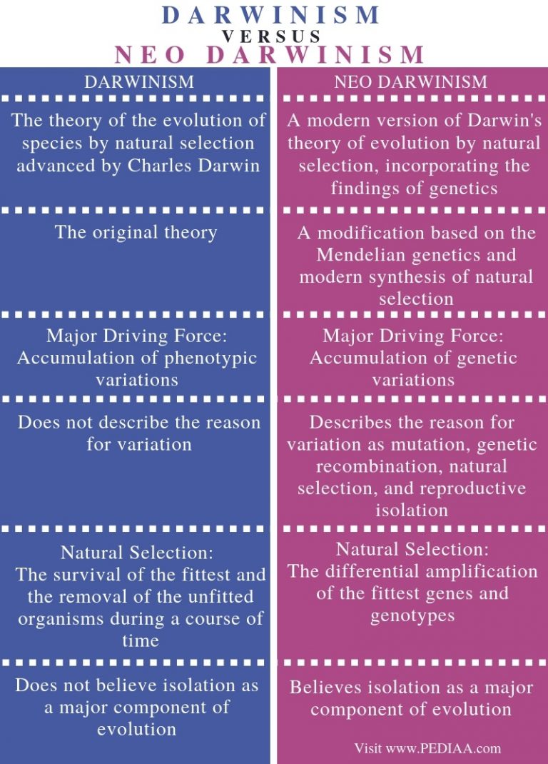 What Is The Difference Between Darwinism And Neo Darwinism - Pediaa.Com