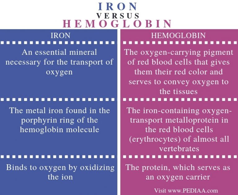 What is the Difference Between Iron and Hemoglobin