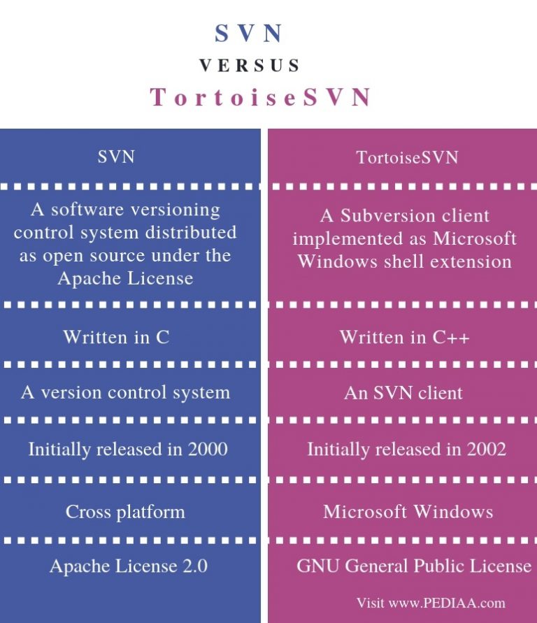 difference between revision and version