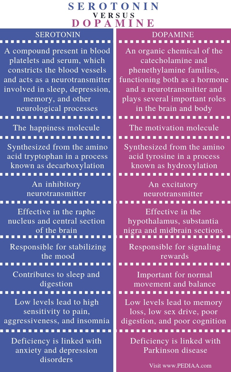 Difference Between Serotonin and Dopamine - Comparison Summary