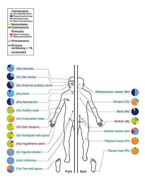 Microbiome vs Microbiota