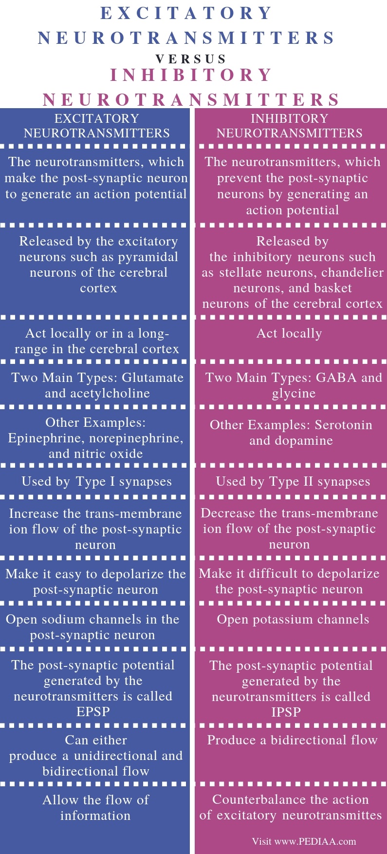 Difference Between Excitatory and Inhibitory Neurotransmitters