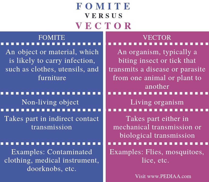 Difference Between Fomite and Vector - Comparison Summary