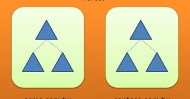 Difference Between Forest and Domain